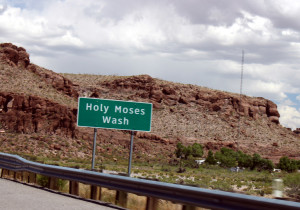 Holy Moses Wash!