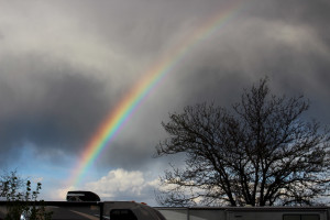 Rainbow at Seligman