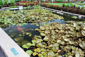 Sunken Gardens Lincoln Nebraska (55)