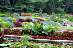 Sunken Gardens Lincoln Nebraska (74)