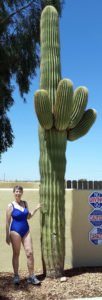 A BIG Saguaro
