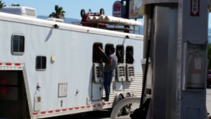 Fueling Horses at the Gas Pump