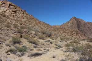 Sonoran side of Joshua Tree NP