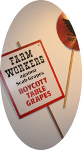 Grape Boycott 1965-70