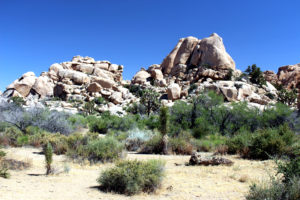 Monzogranite Moonscape