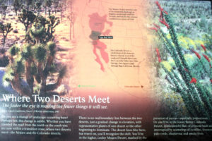 Where Two Deserts Meet
