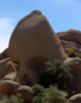 Skull Rock Trail