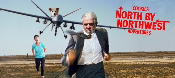 North by Northwest - Cookie's Adventures