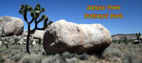 Joshua Tree National Park